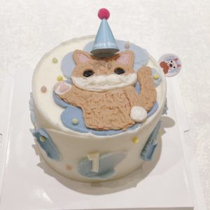 嬰兒藍畫橘貓的蛋糕是要給狗狗吃的蛋糕