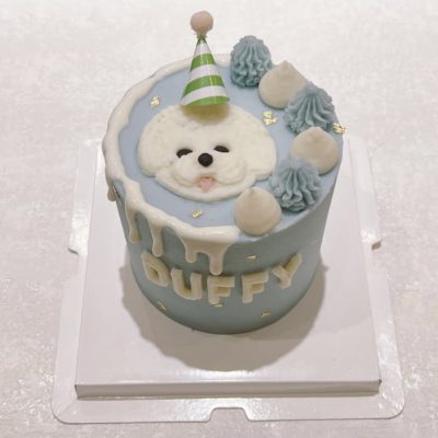 嬰兒藍蛋糕上面畫比熊是要給狗狗吃的蛋糕