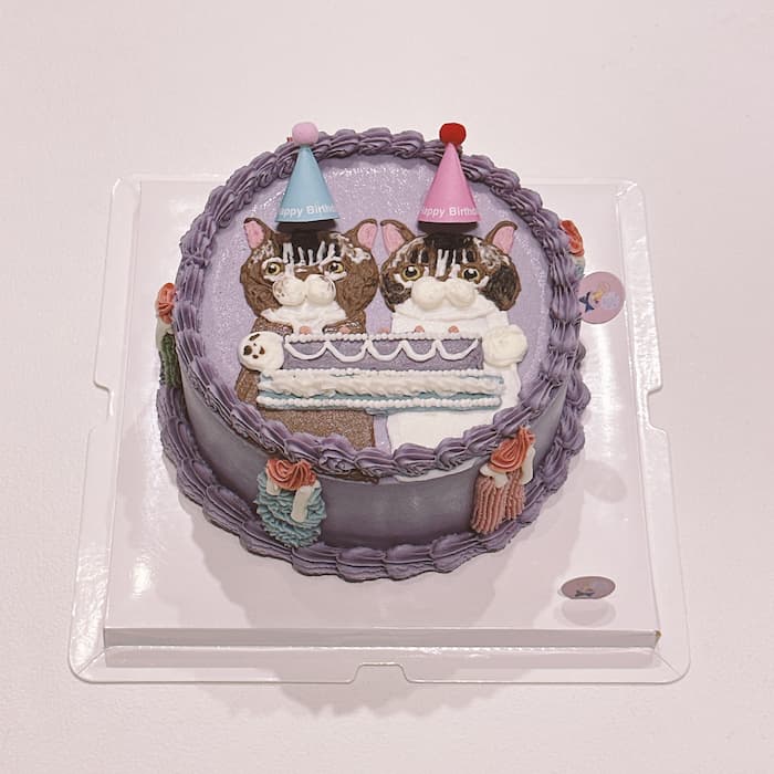 紫色蛋糕是要給狗狗貓咪吃的蛋糕