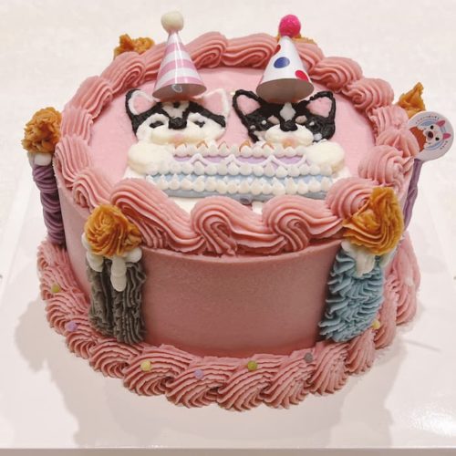 畫吉娃娃的粉色蛋糕是要給狗狗吃的