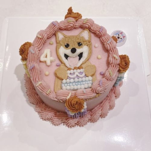 畫柴犬的粉色蛋糕是要給狗狗吃的