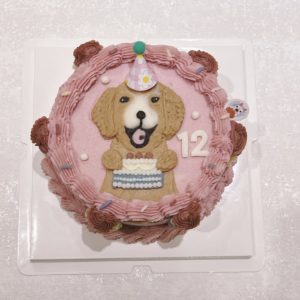 畫黃金獵犬的粉色蛋糕是要給狗狗吃的