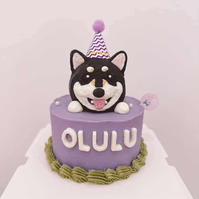 紫色黑柴犬蛋糕是要給狗狗貓咪吃