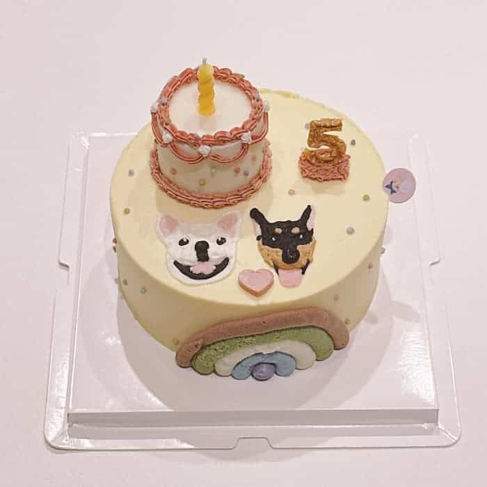 黃色蛋糕是要給狗狗貓咪吃的蛋糕