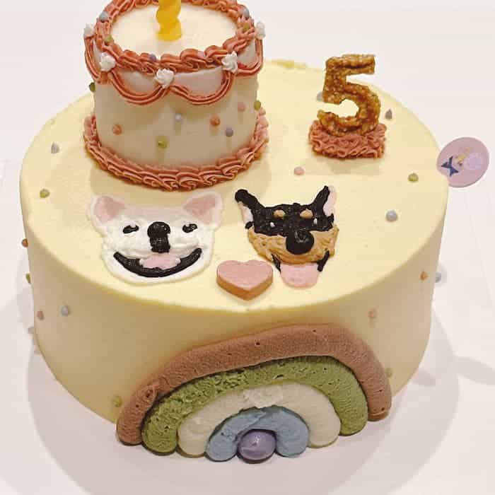 黃色蛋糕是要給狗狗貓咪吃的蛋糕