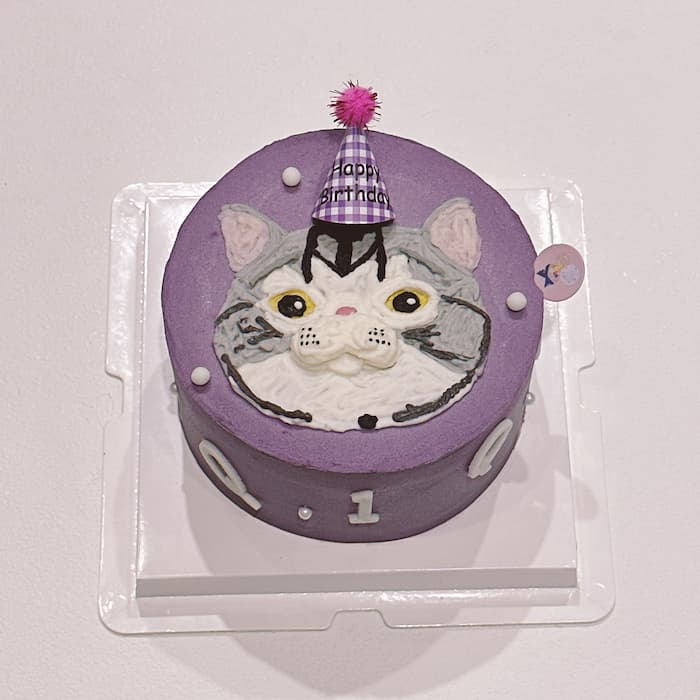 紫蛋糕畫白灰色貓咪是要給貓咪吃的