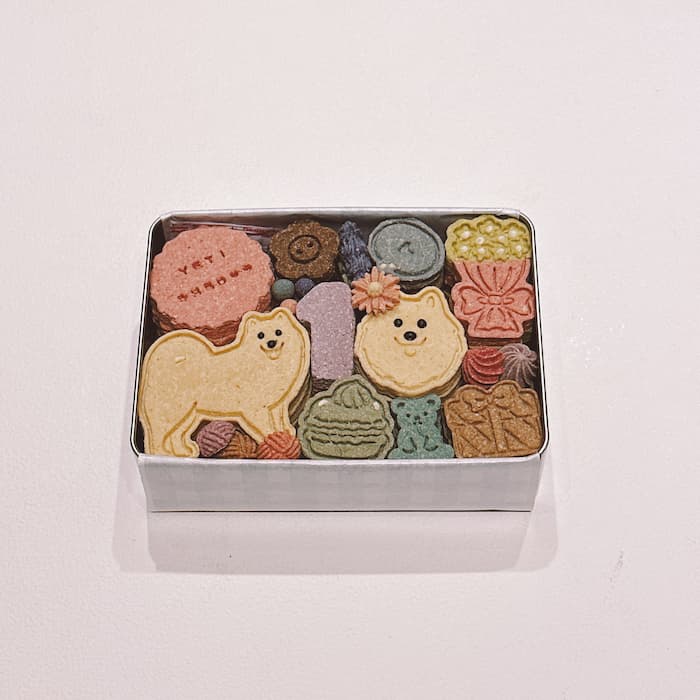 薩摩耶圖案的生日鐵盒餅乾是要給狗狗貓咪吃的